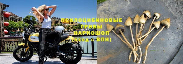 стаф Абдулино